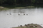 IMG 5906